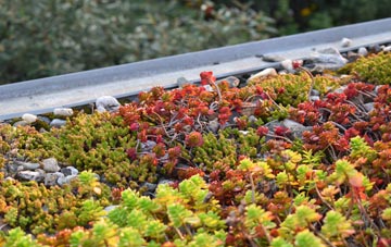 the cost of  green roof installation