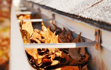 gutter cleaning companies