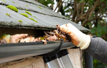 gutter cleaning 