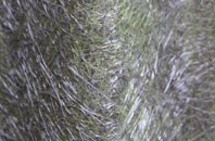 fibreglass roof work